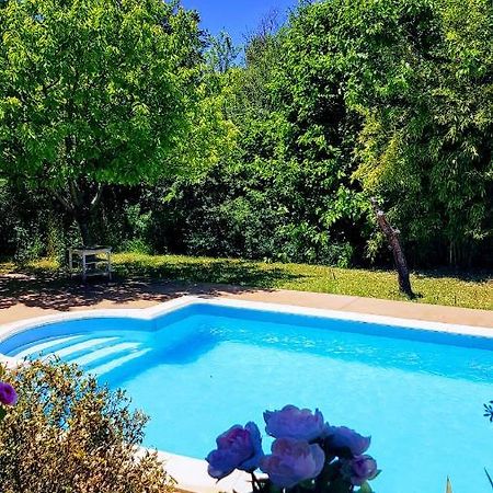 Studio Dans La Villa Les Cigales Lézignan-Corbières Exterior foto